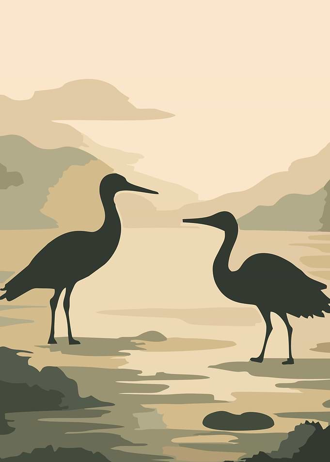 Two cranes by the water