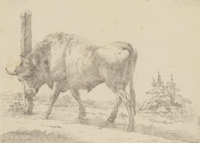 Bison near a wooden post and tree