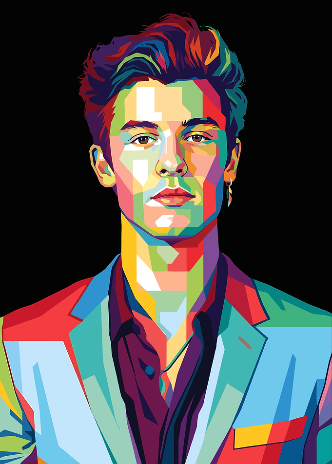 Shawn Mendes Pop Art