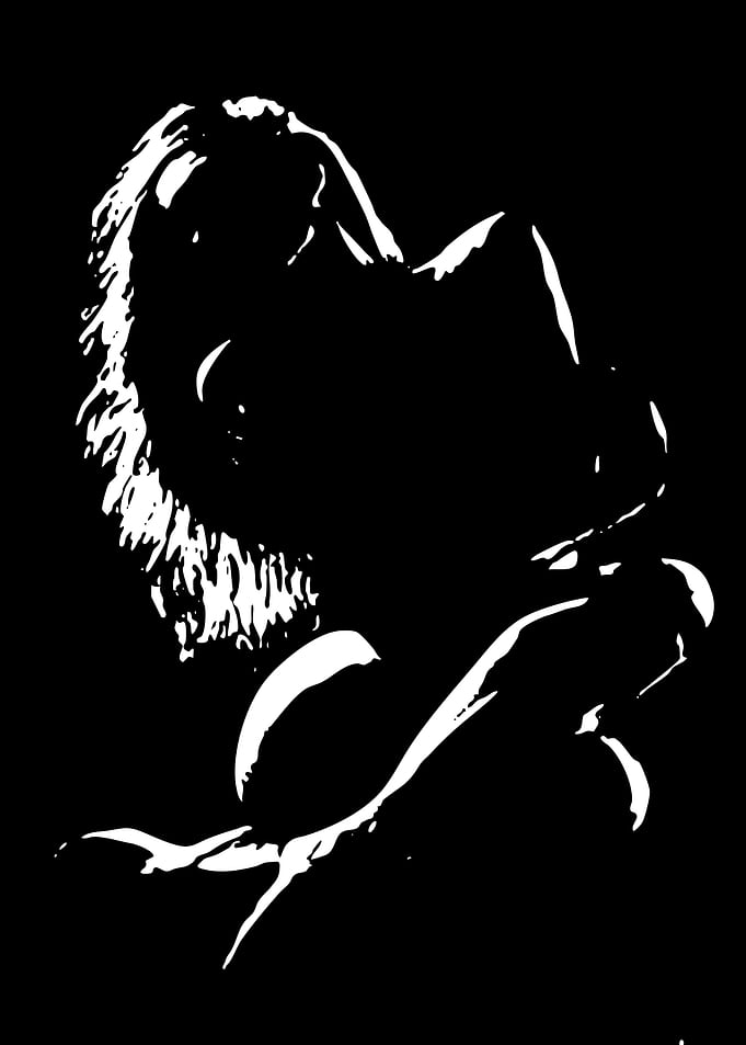 Silhouette of a woman in repose