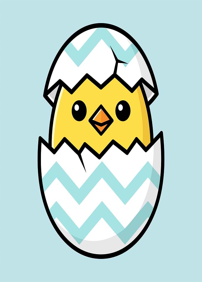 Cute chick hatching from an egg