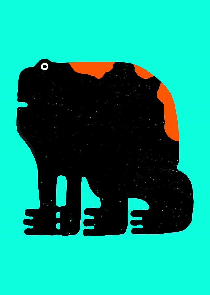 Frog Frog Frog