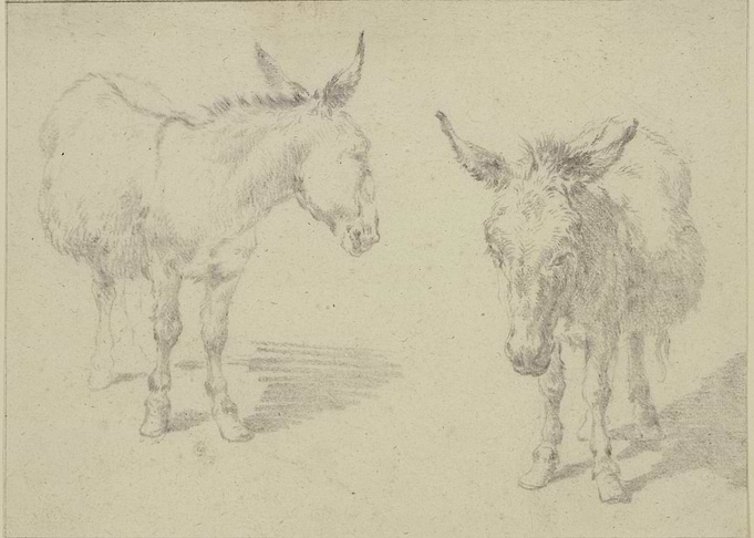 Two Donkeys Sketch