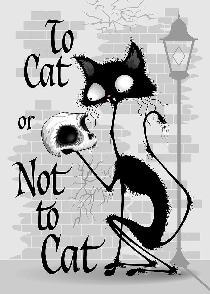 Black cat holding a skull Hamlet Parody