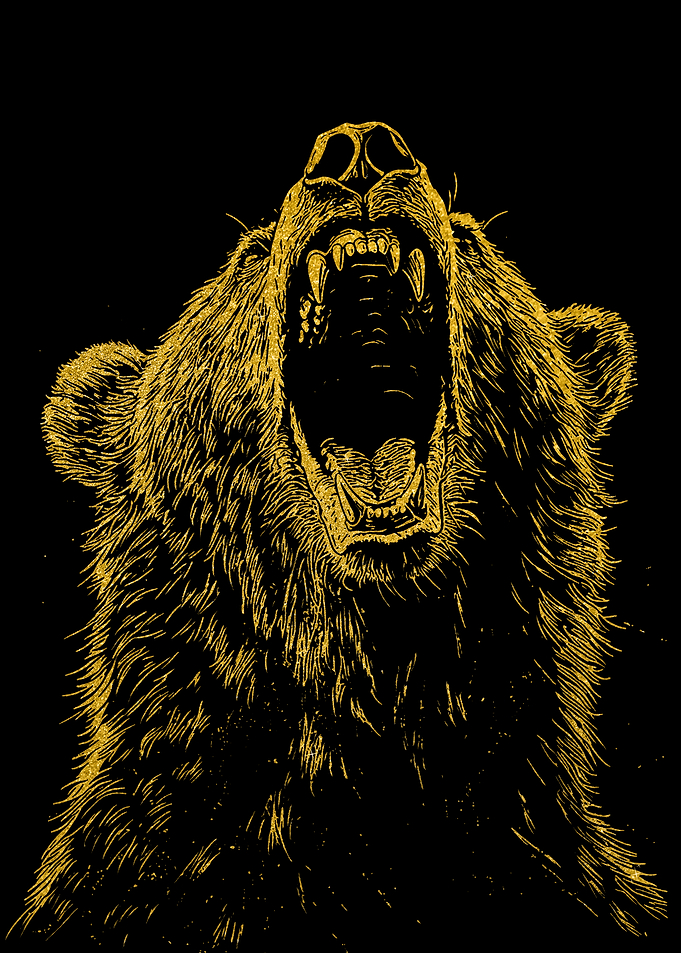 Roaring Golden Bear Illustration