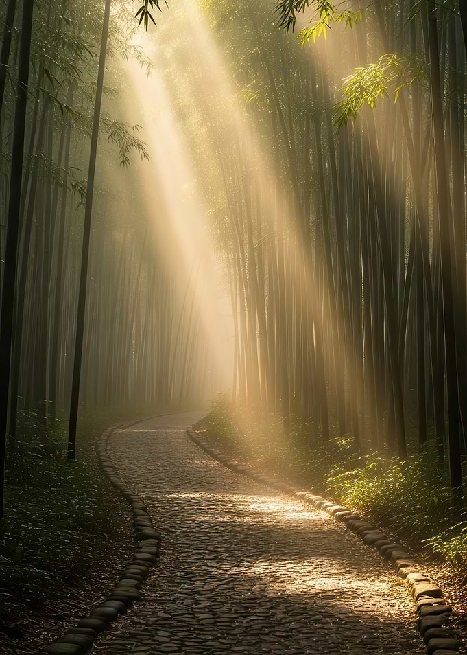Sunbeams in a Bamboo Forest Path