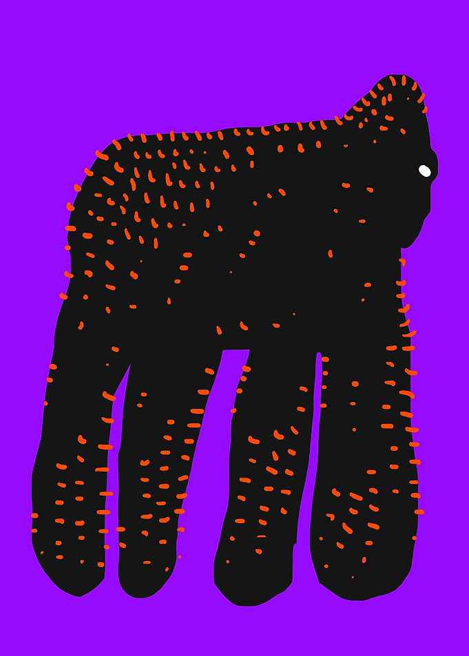 Gorilla