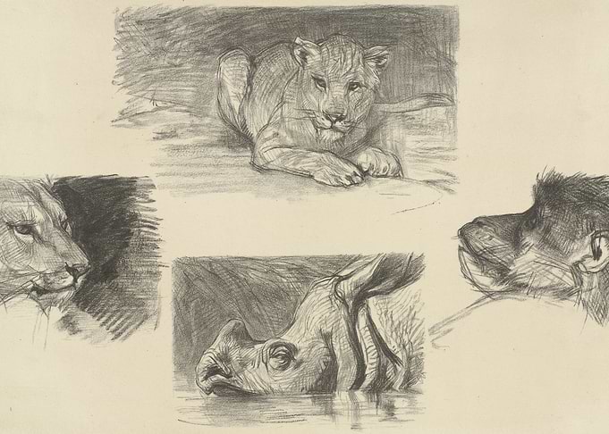 Pencil Sketches of African Wildlife