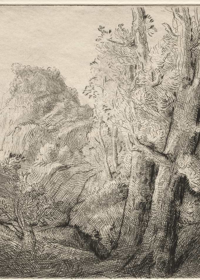Etching of a Forest Landscape
