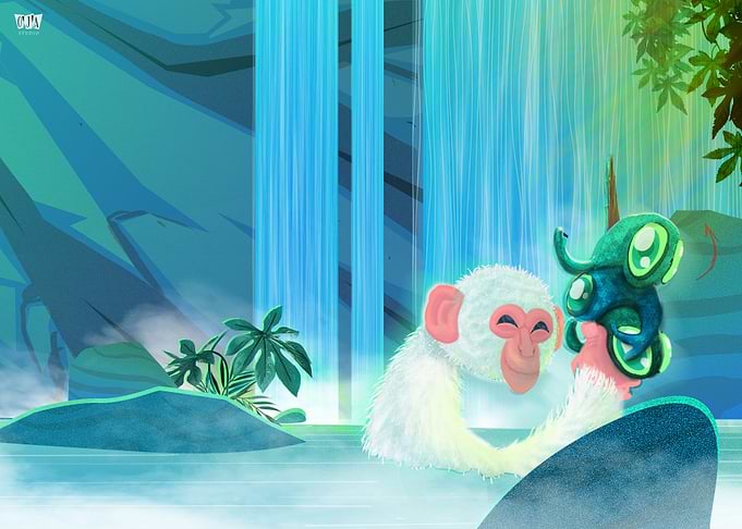 Monkey