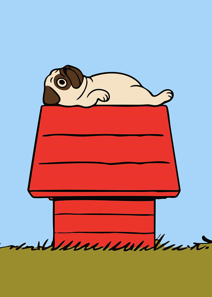 Pug on a Dog House
