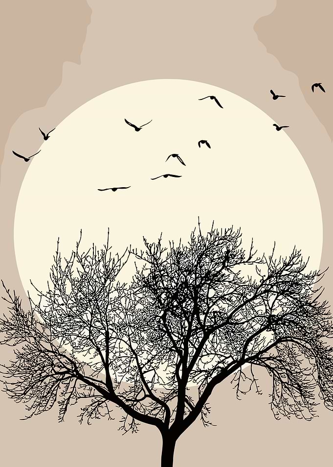 Silhouette of a bare tree against a large moon and flying birds