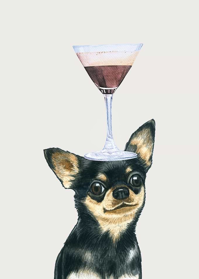 Chihuahua with Cocktail on Head