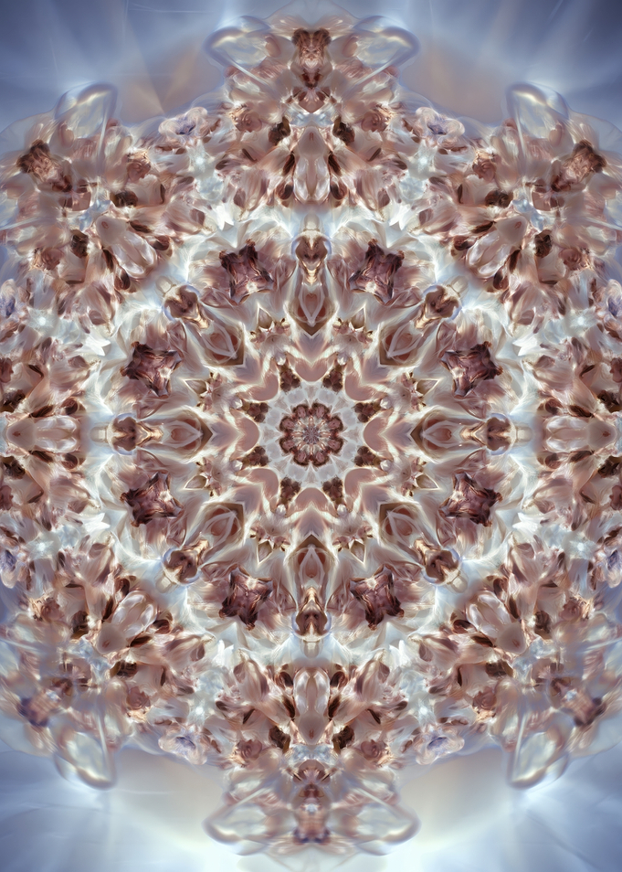 Kaleidoscopic Abstract Floral Pattern
