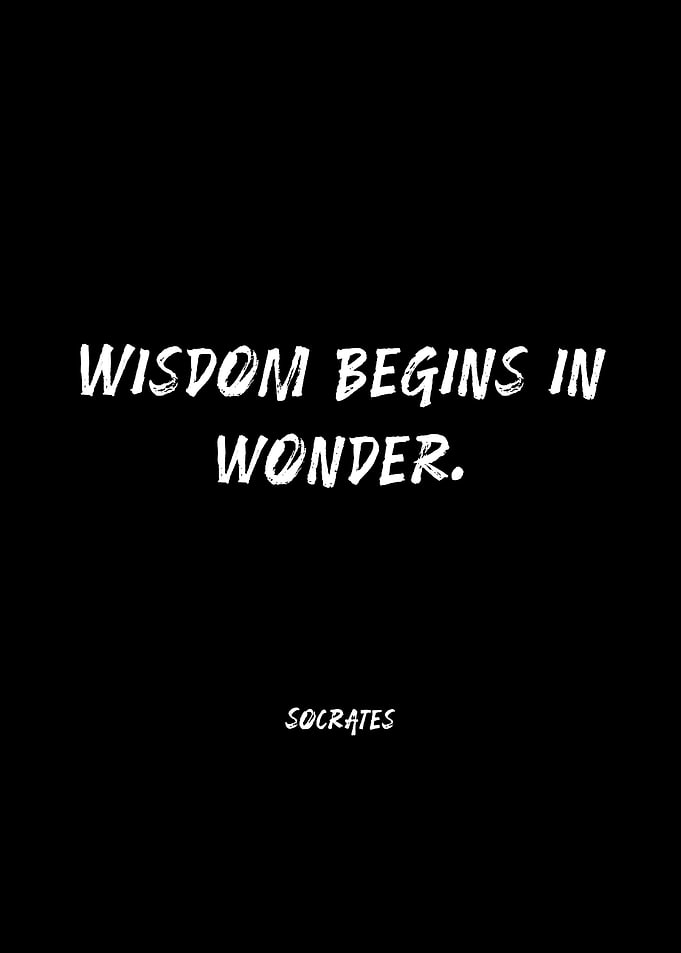 Socrates Wisdom Begins in Wonder Quote