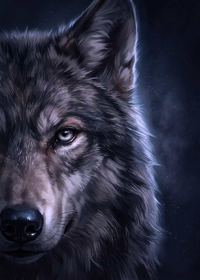 Close-up of a Wolf's Face