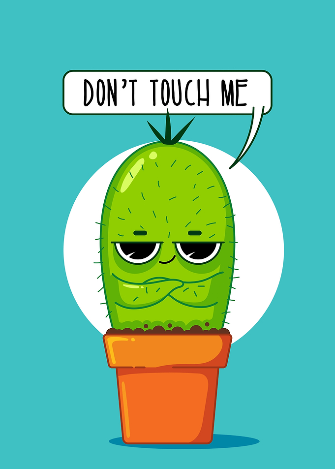 Funny Cactus Saying Don't Touch Me