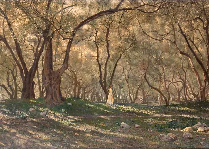 Woman walking in an olive grove