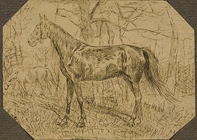 Horses in a Forest Clearing