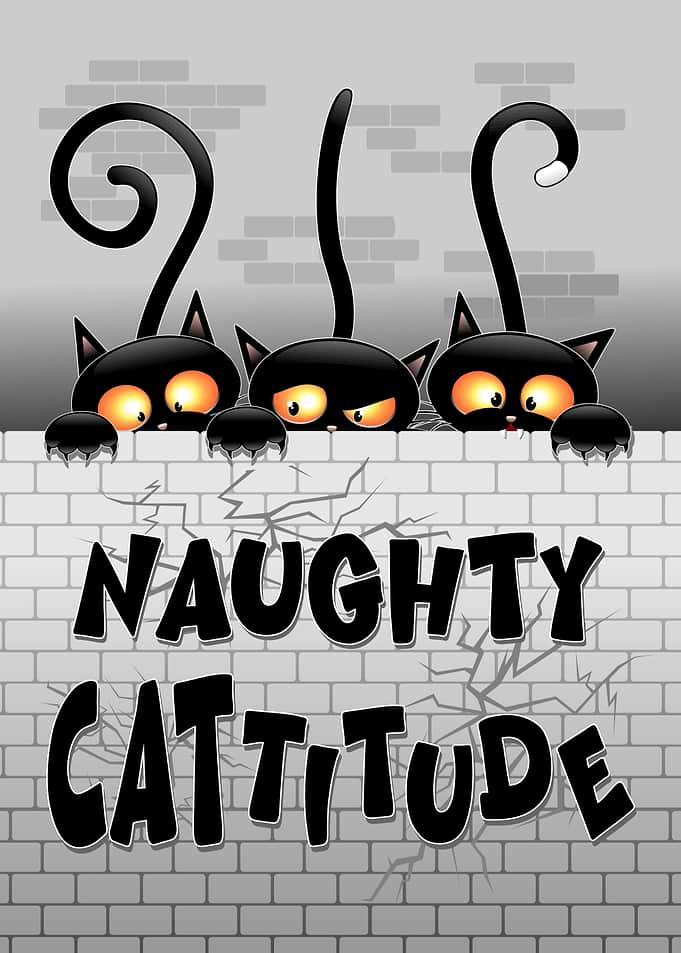 Naughty Cattitude Black Cats