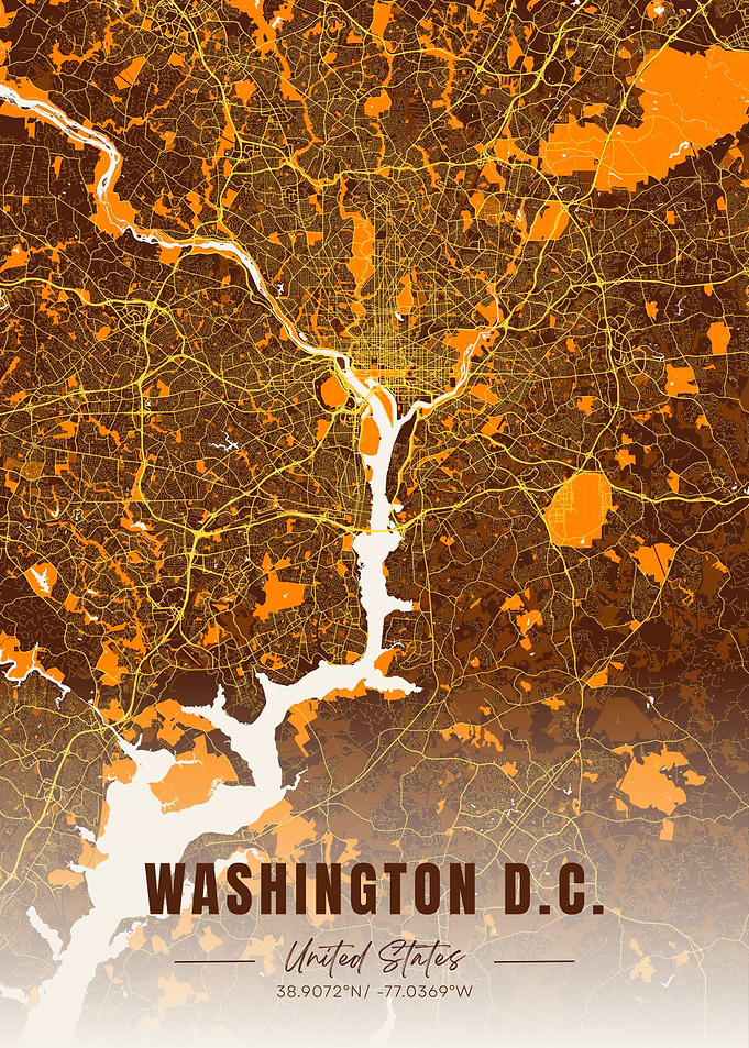 Washington D.C. Map Art