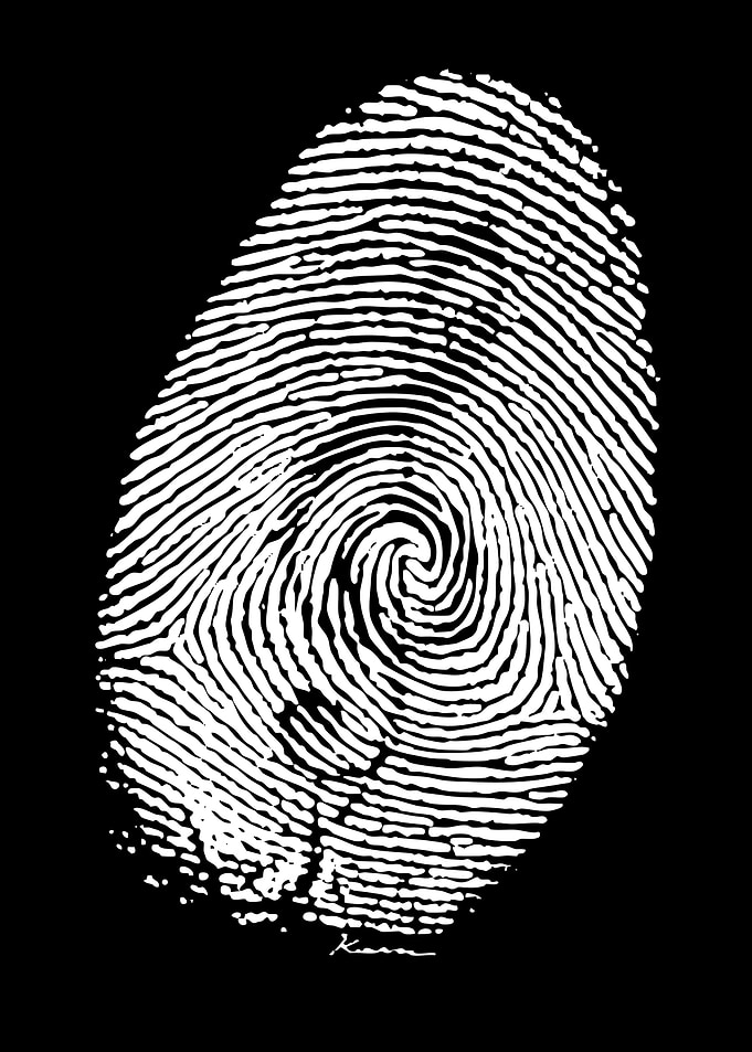 Black and White Fingerprint