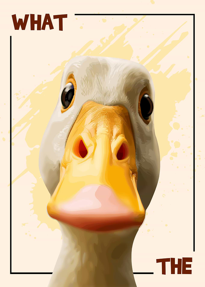 What The Duck Funny Poster