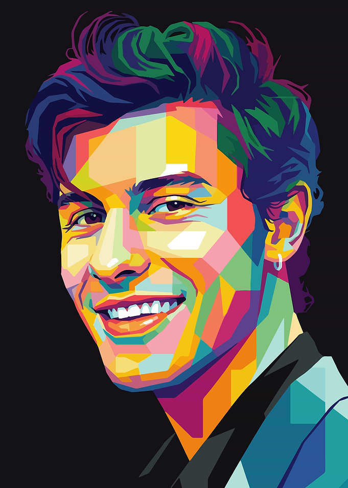 Shawn Mendes Pop Art Portrait