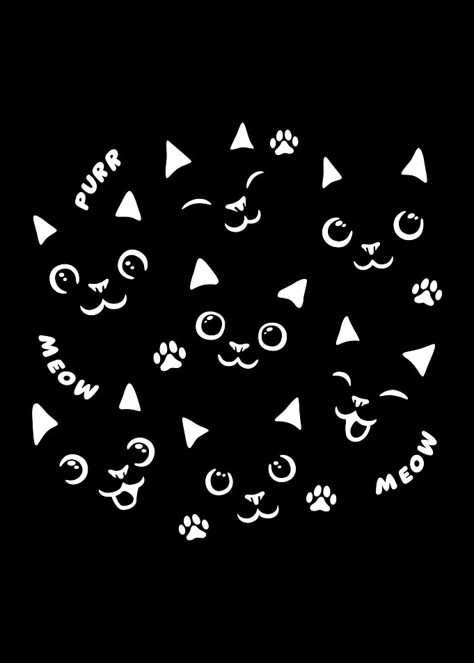 Black Cats In a Black Shirt