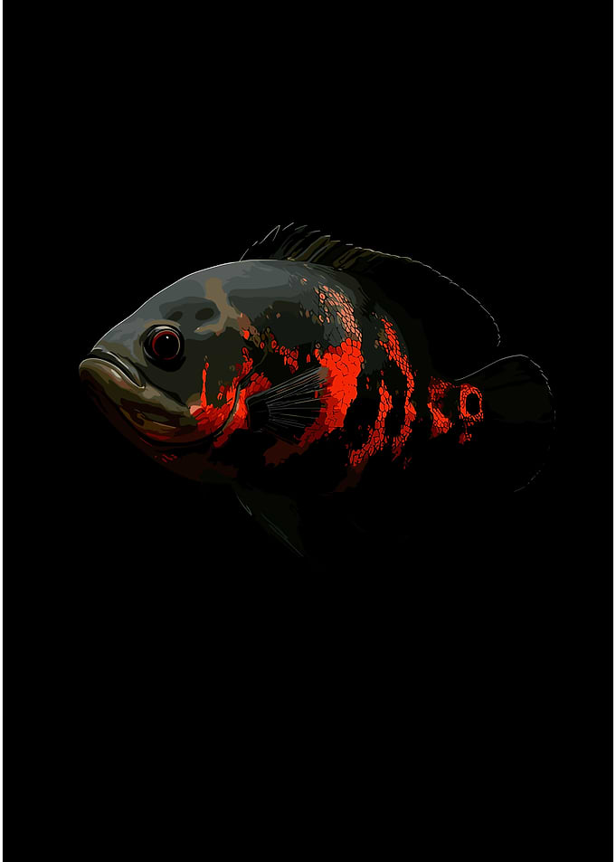 Oscar Fish with Red Markings