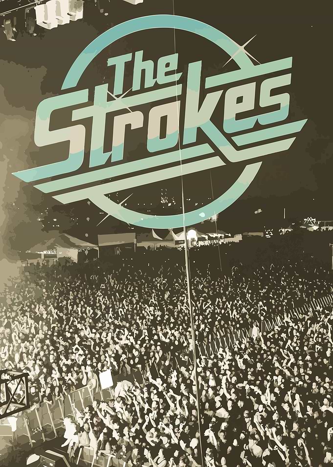 The Strokes Concert Crowd