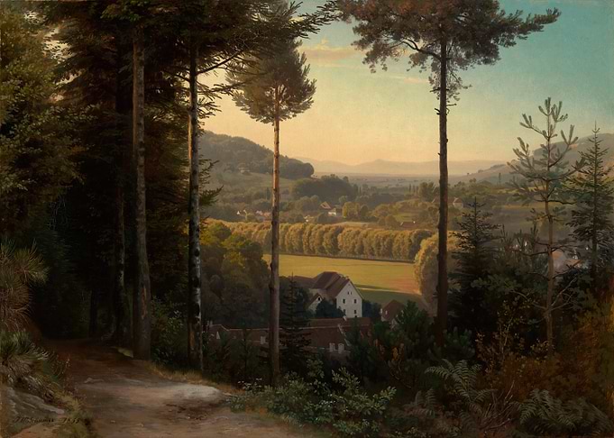 Forest Path Overlooking a Valley