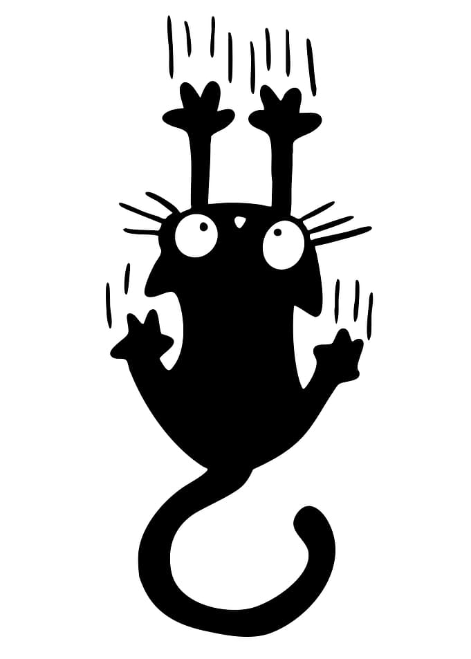 Scared Black Cat Hanging On