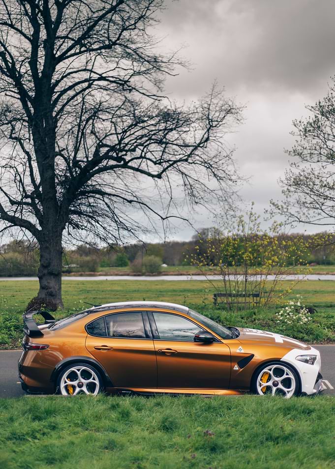 Alfa Romeo Giulia GTAm