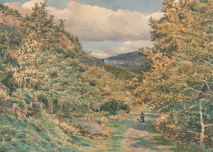 Woman walking on a path in a forest