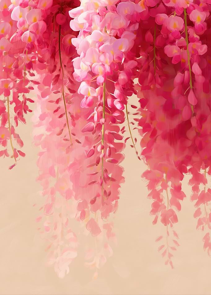 Pink Wisteria Flowers