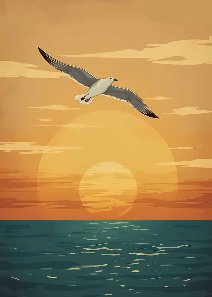Seagull flying over the Sea at sunset