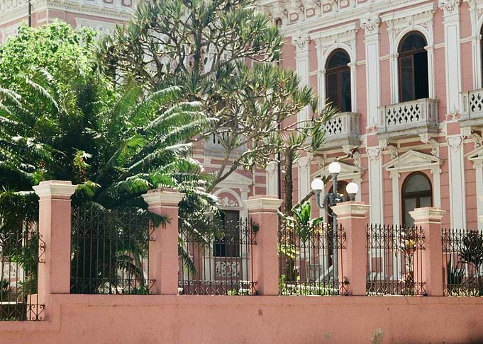 Pink Building with Palm Trees and Fence