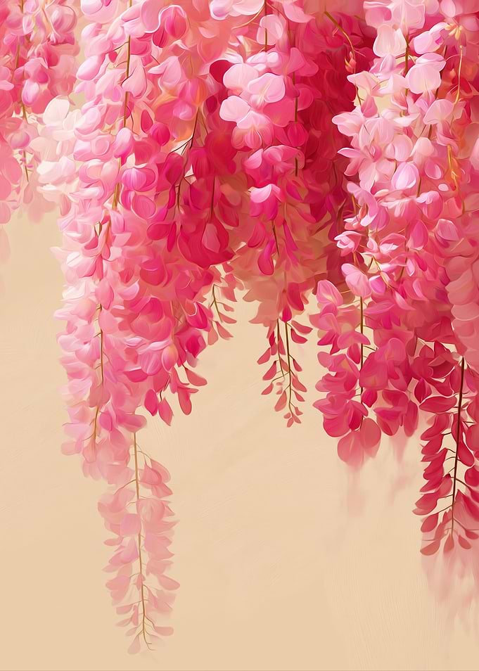 Pink Wisteria Flowers