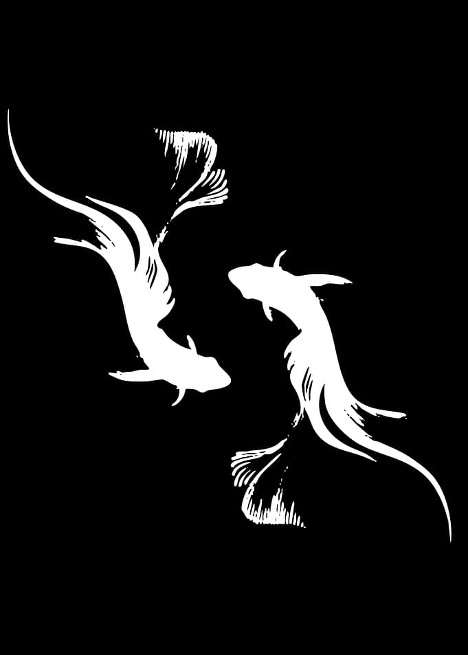 Two White Koi Fish