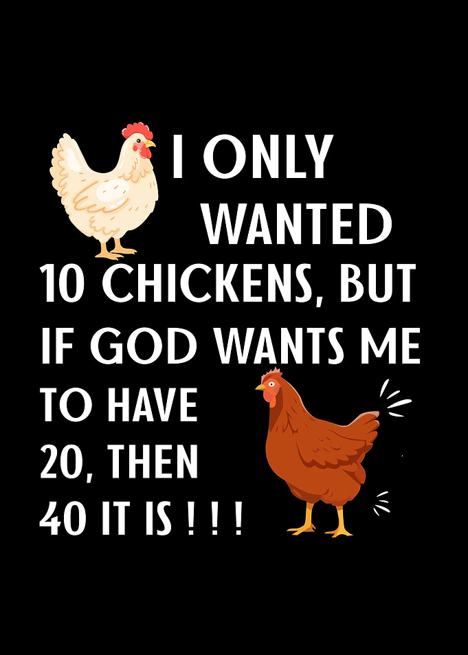 Funny Chicken Quote