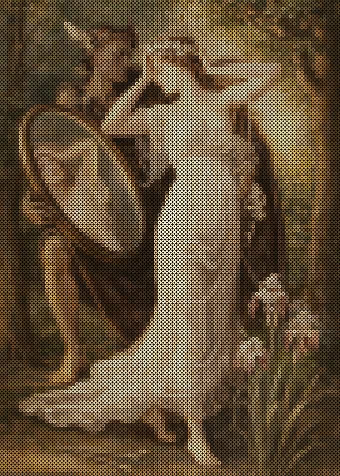 The Mirror of Venus