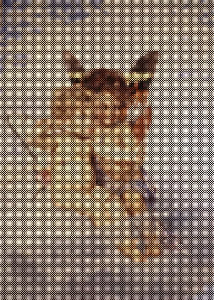 Cupids