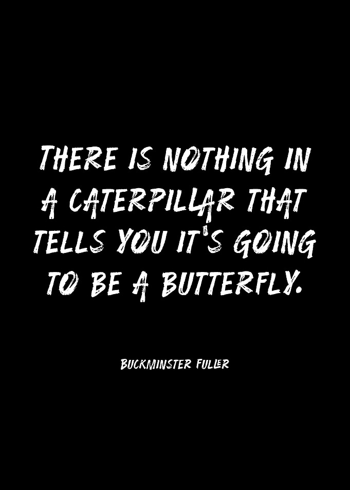 Buckminster Fuller Caterpillar Butterfly Quote