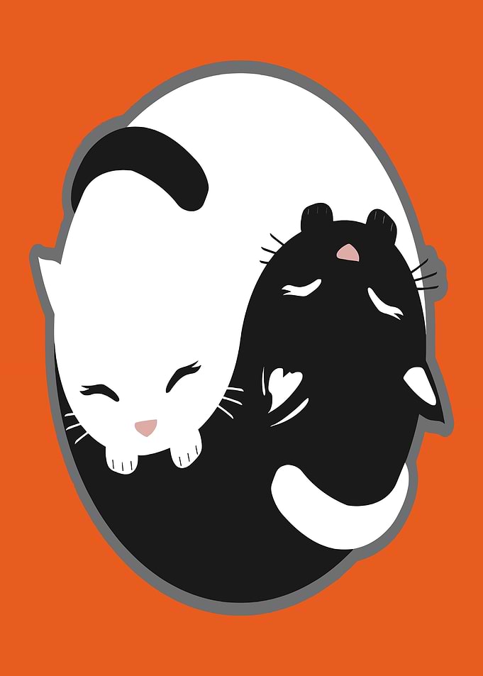 Yin Yang Cats and Hamster