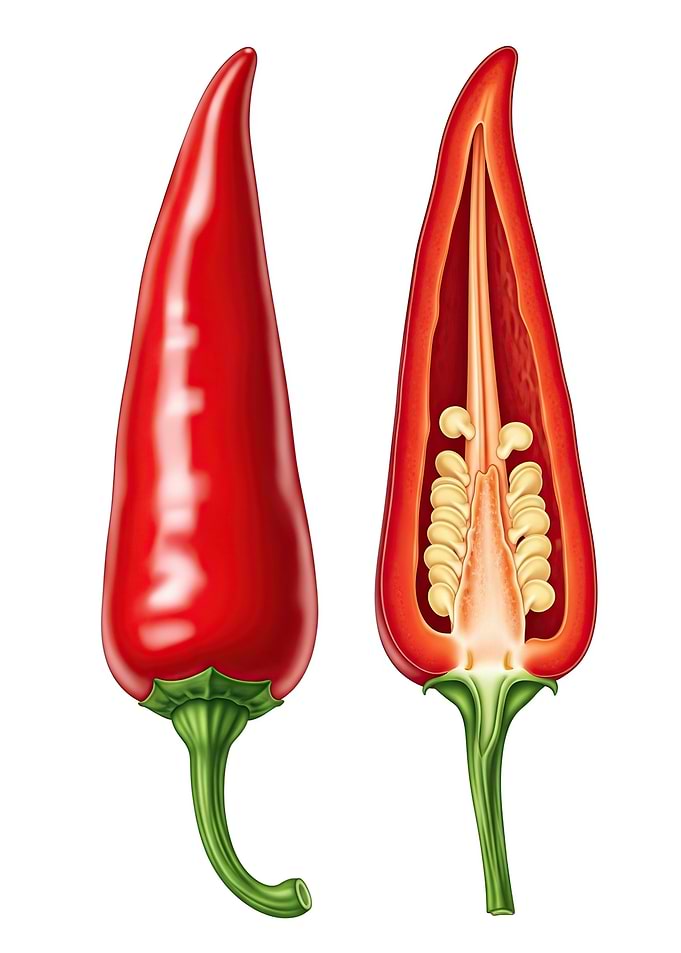 Red Chili Pepper, Whole and Halved