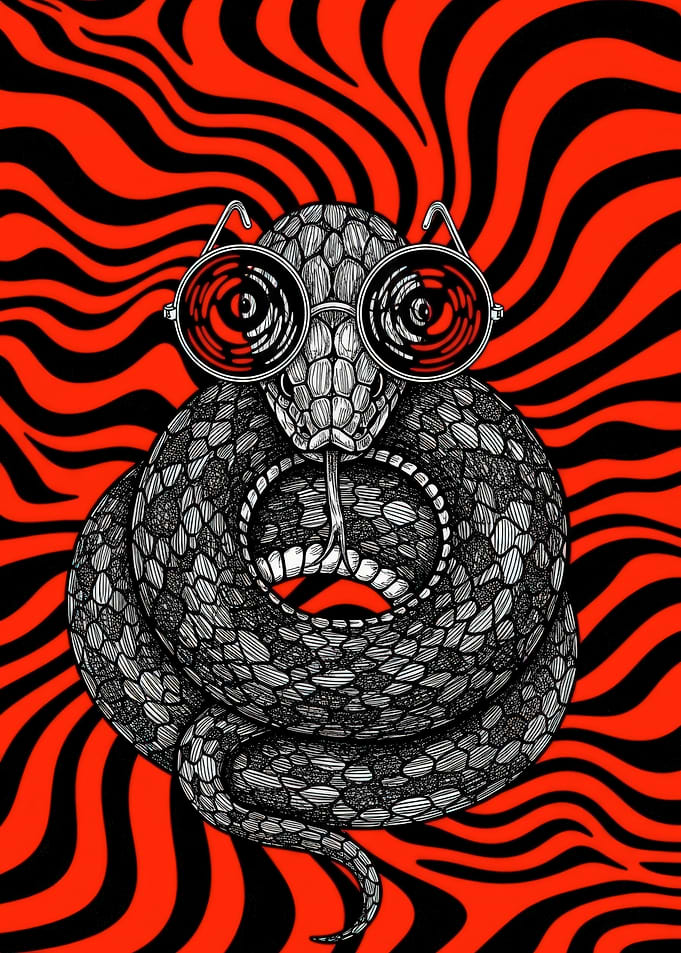 Trippy Snake with Sunglasses