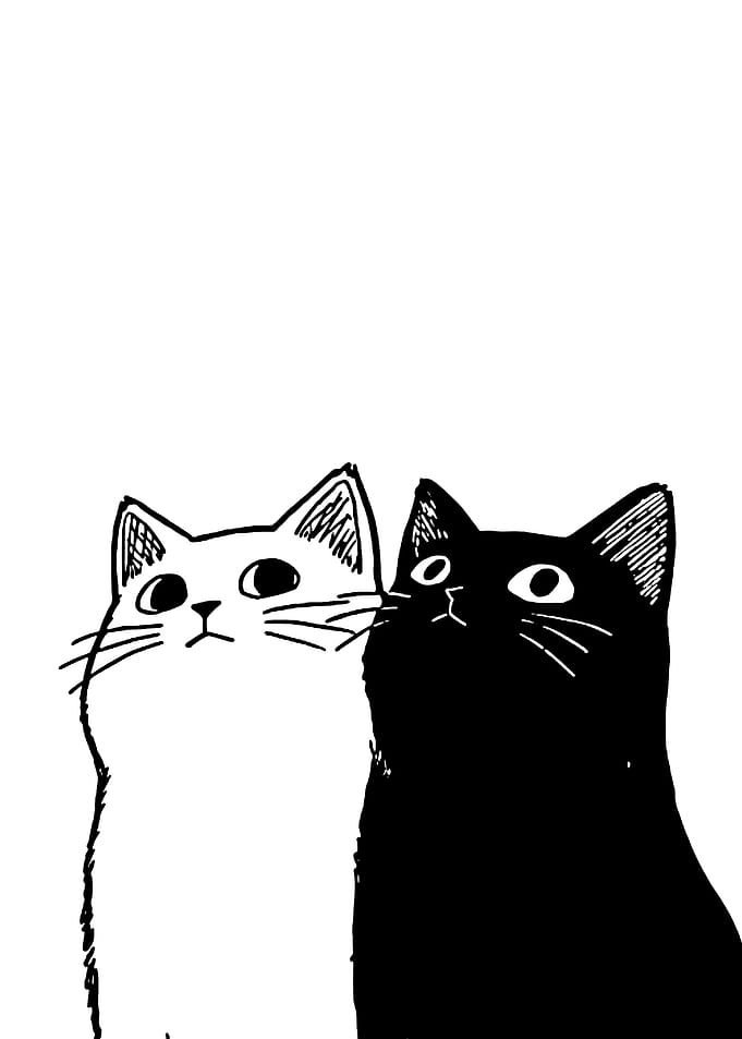 Two Cats Looking Up