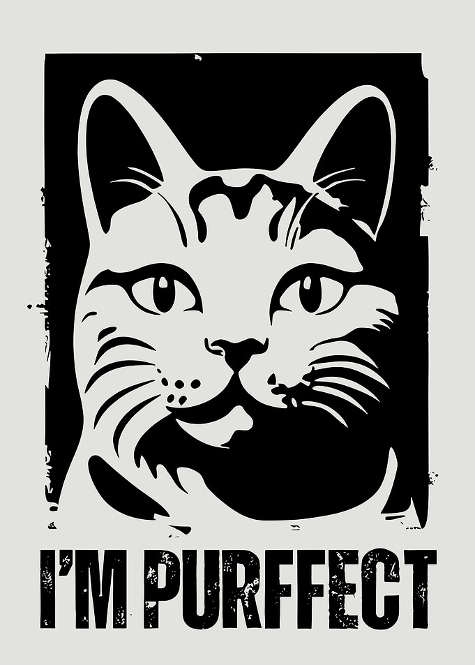 I'm Purrfect Cat Graphic