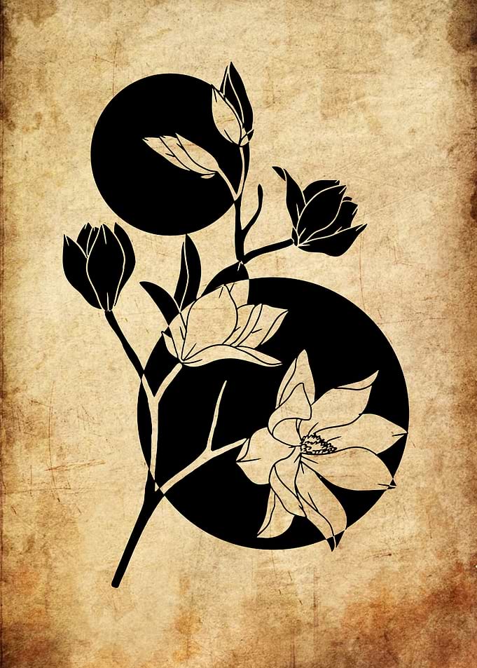 Black Magnolia Flowers on Textured Background